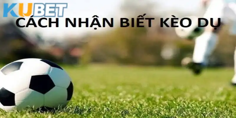 Các cách nhận biết kèo dụ chi tiết cho mọi người